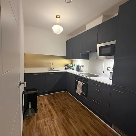 Large 4 Bed Flat Public Transport And Car Park Сasa de vacaciones Leixlip